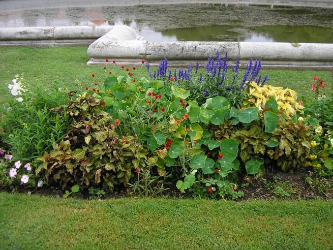 Fiori del Giardino del Belvedere